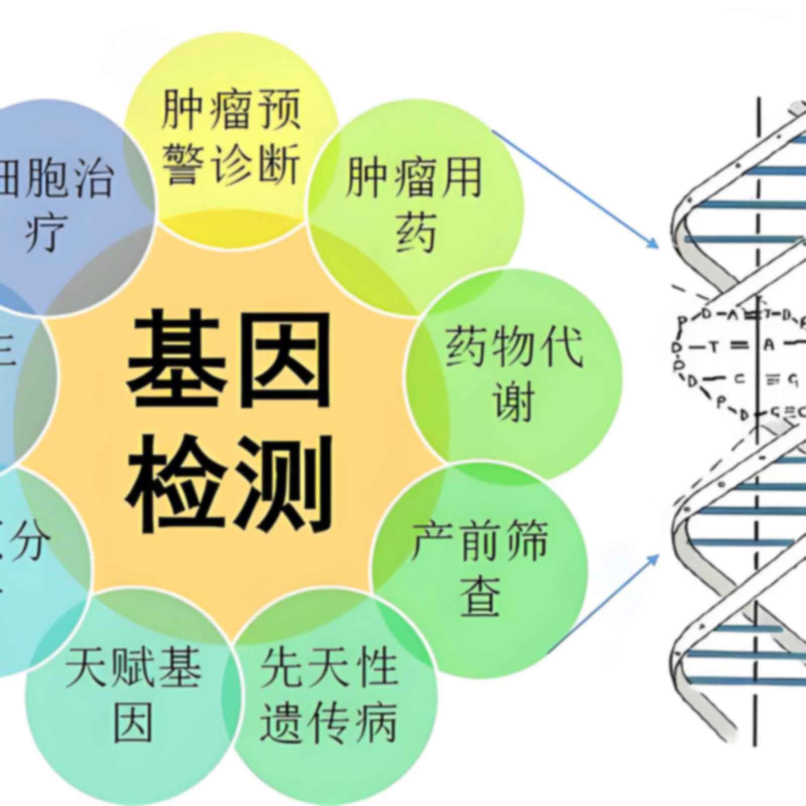 南京六合区个人亲子鉴定需要什么材料